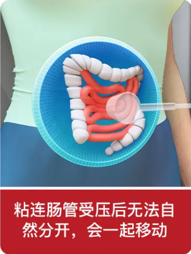 1701670545173041.png 640 (1).png